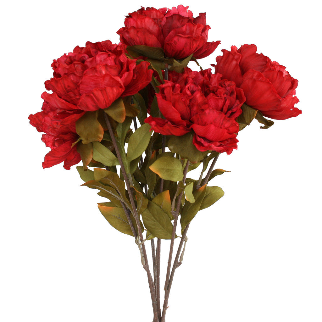 Peony Bunch - Colombo Street Red
