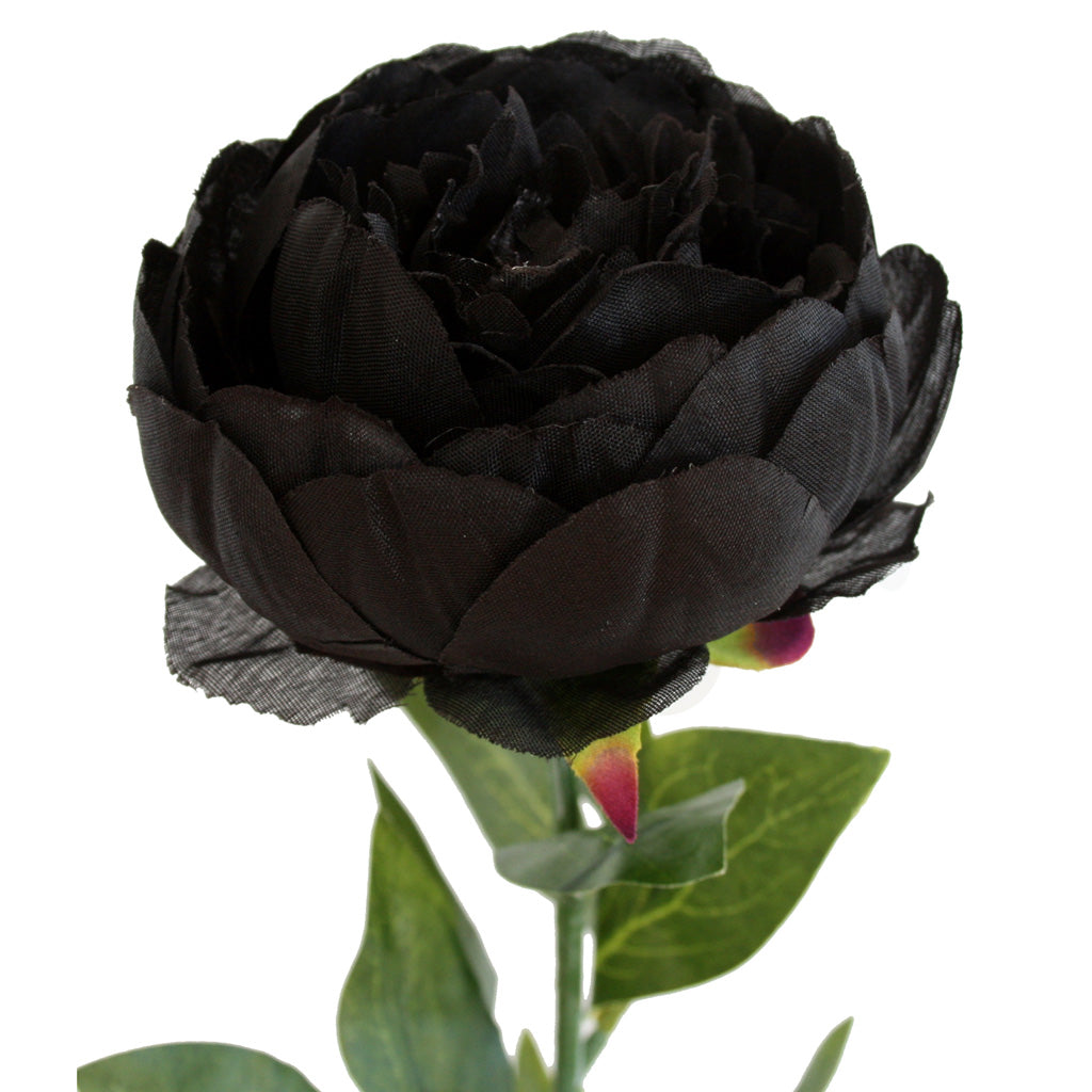 Close-up of artificial black Peony Rose flower from decorflowers.co.nz