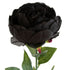 Close-up of artificial black Peony Rose flower from decorflowers.co.nz