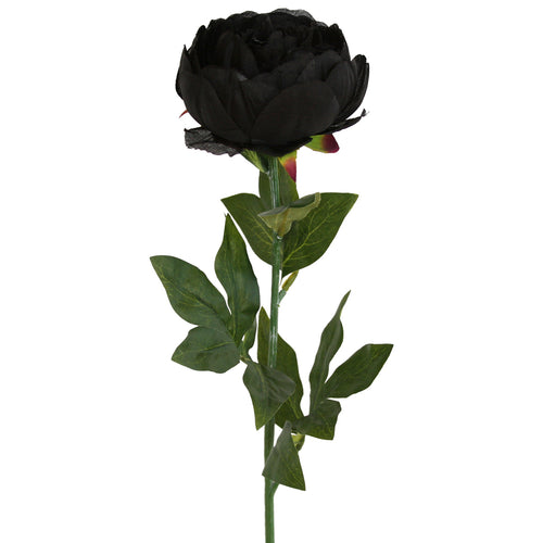 Artificial black Peony Rose flower from decorflowers.co.nz