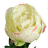 Close-up of artificial cream Peony Rose flower from decorflowers.co.nz