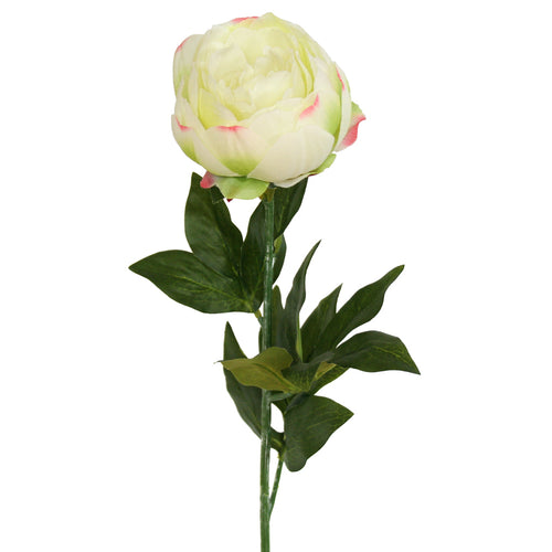 Artificial cream Peony Rose flower from decorflowers.co.nz