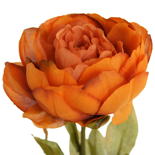 Close-up of artificial orange Peony Rose flower from decorflowers.co.nz