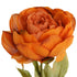 Close-up of artificial orange Peony Rose flower from decorflowers.co.nz