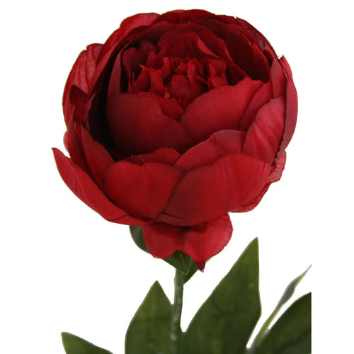 Close-up of artificial red Peony flower from decorflowers.co.nz