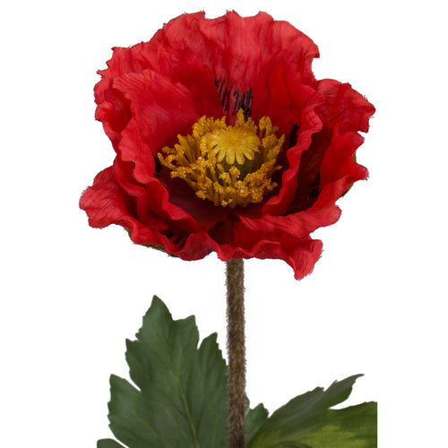 Close-up of artificial Red Poppy from decorflowers.co.nz