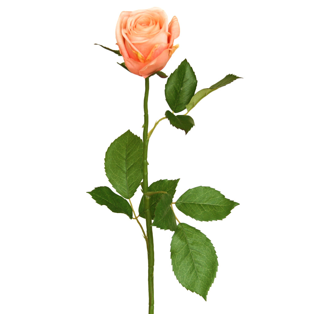 Apricot Pink Artificial Rose from decorflowers.co.nz