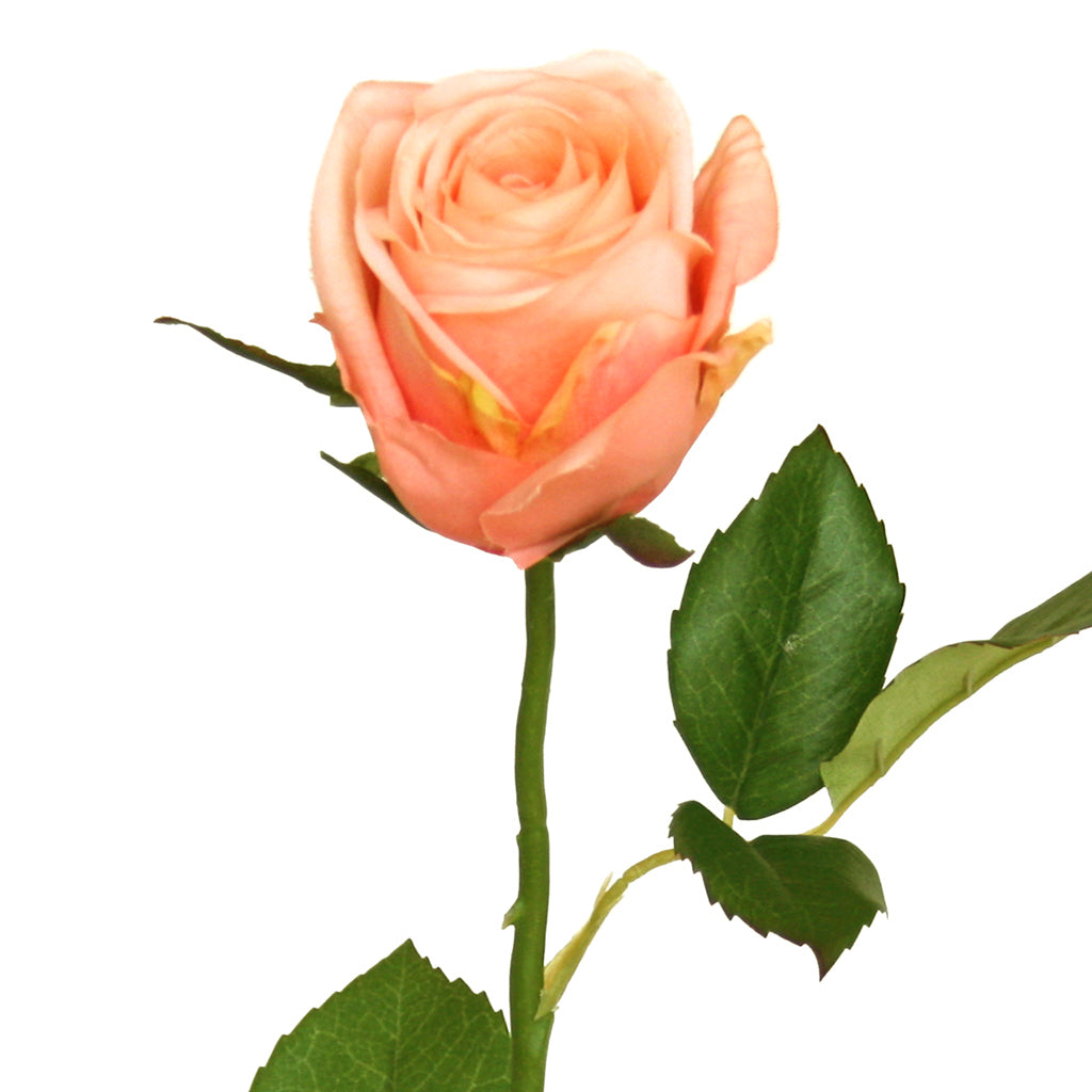 Apricot Pink Artificial Rose from decorflowers.co.nz