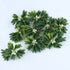 Small artificial green foliage from Decorflowers.co.nz