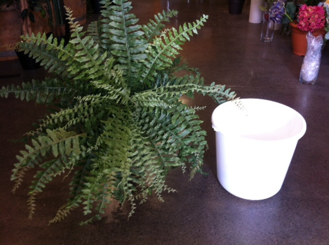 Large artificial Boston Fern from Decorflowers.co.nz