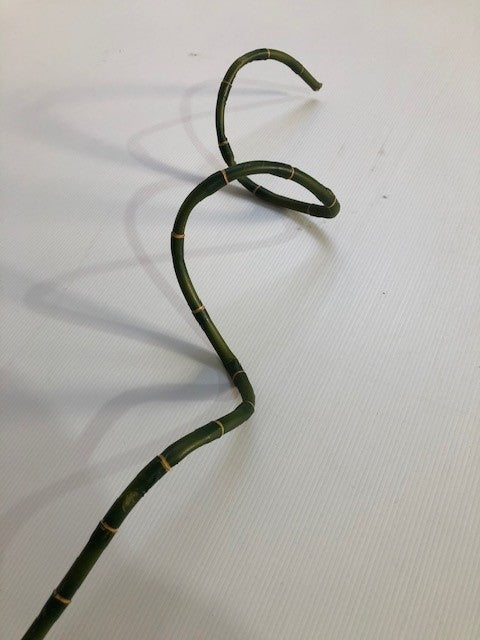 Bamboo Stems - Artificial - 120cm - Half Price Special!