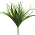 Grass - Wild Koru Bush - Medium - Box Lot Deal (4)
