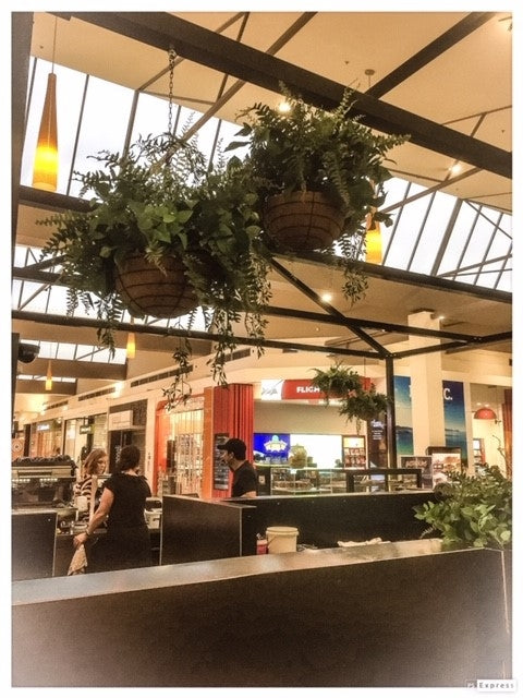 Hanging Basket - Ferns