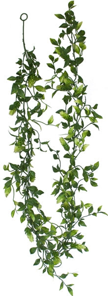 Hops - Garland - 6ft