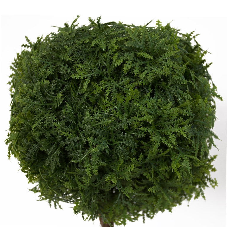 Table Topiary - Whispering Fern - Box Lot Deal (2)