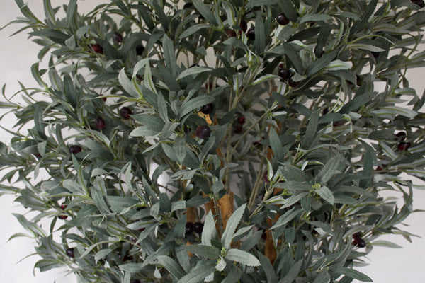 Olive Tree - Artificial 180cm ✰✰✰ SHOWROOM SPECIAL ✰✰✰