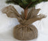NZ Slim Line Spruce Christmas Tree