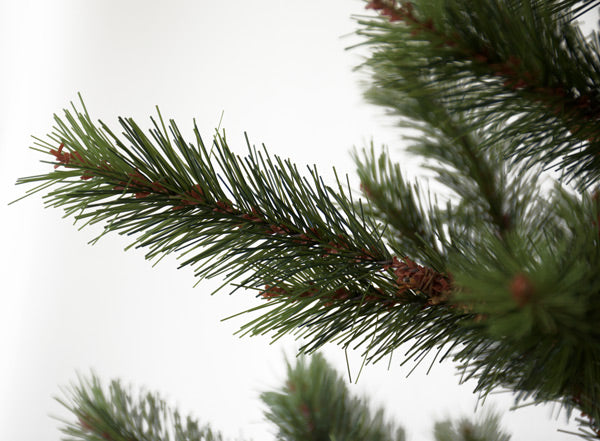 NZ Slim Line Spruce Christmas Tree