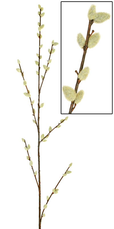 Artificial Pussy Willow from www.decorflowers.co.nz