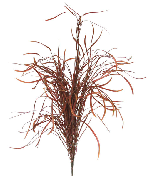 Grass - Marram Bush - Rich Burgundy - Box Lot Deal (4)