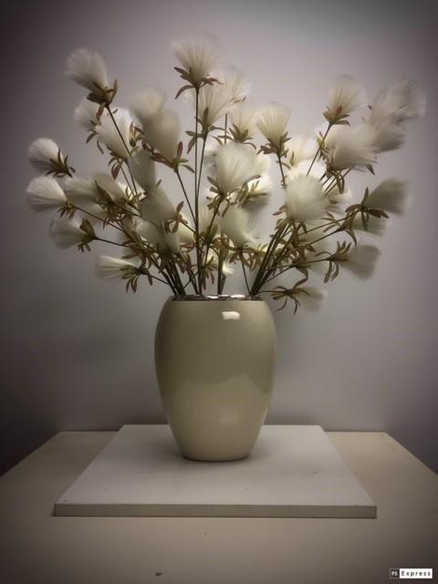 Bottle Brush Dandelions - Cream White - Box Lot Deal (12)