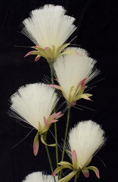 Bottle Brush Dandelions - Cream White - Box Lot Deal (12)