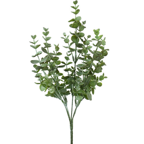 Eucalyptus Bush - Grey Green