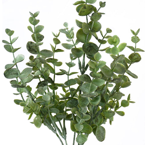 Eucalyptus Bush - Grey Green - Box Lot Deal (4)
