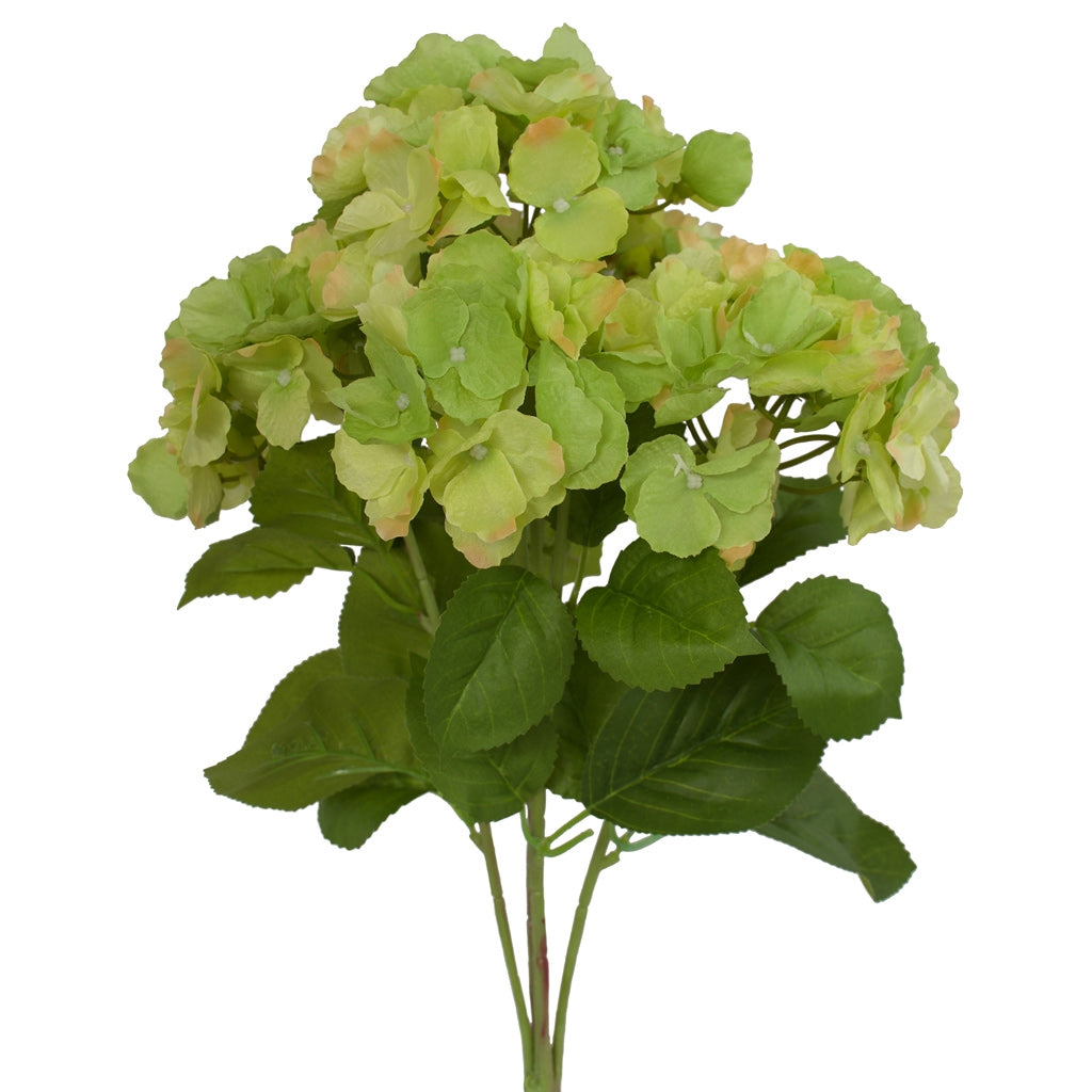 Hydrangea Bunch - Artificial - Cambridge variety - Green