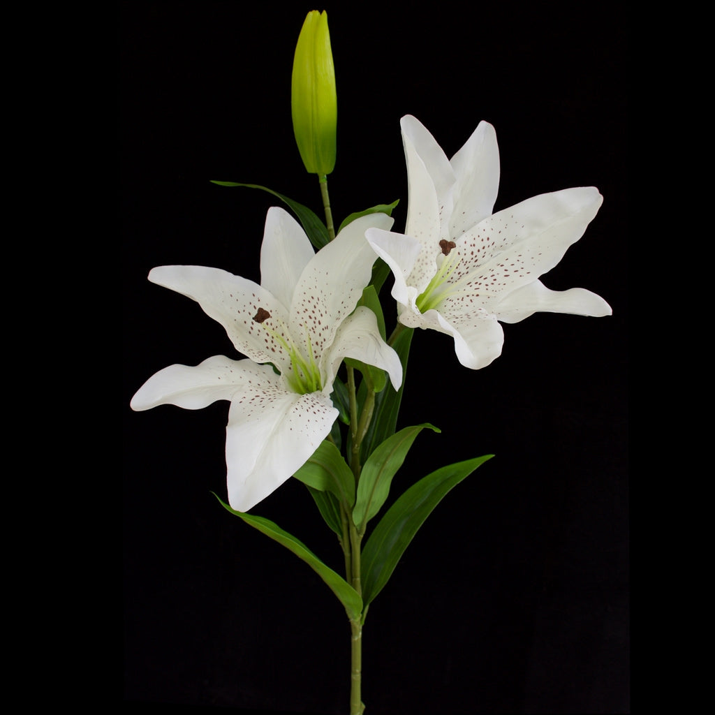 Casablanca Lily - Artificial - Double Head