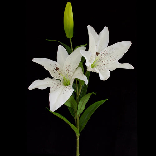 Casablanca Lily - Artificial - Double Head