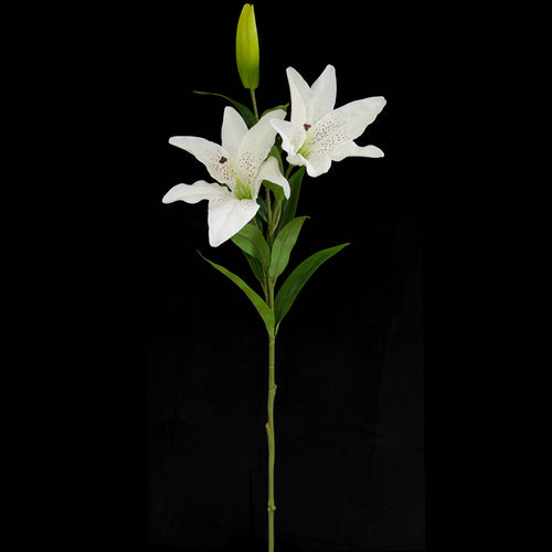 Casablanca Lily - Artificial - Double Head