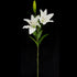 Casablanca Lily - Artificial - Double Head