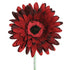 www.decorflowers.co.nz - Artificial Burgundy Gerbera