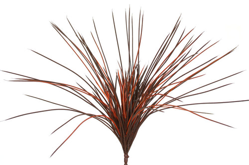 Grass - Lemongrass - Flame Burgundy - Box Lot Deal (4)