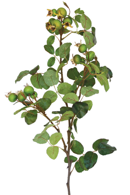 Rosehip Spray - Green - Box Lot Deal (4)