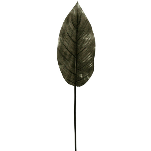 Faux Ginger Leaf from Decorflowers.co.nz