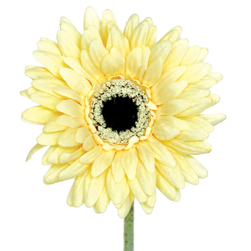 Artificial Gerbera Flower NZ