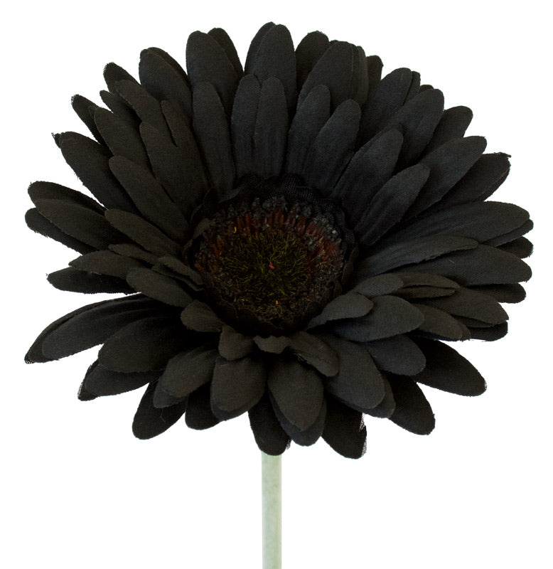 Artificial Black Gerbera from Decorflowers.co.nz