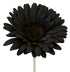 Artificial Black Gerberas from Decorflowers.co.nz