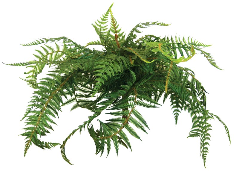 Artificial New Zealand Fern from Decorflowers.co.nz
