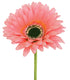 Artificial Pink Gerberas from Decorflowers.co.nz