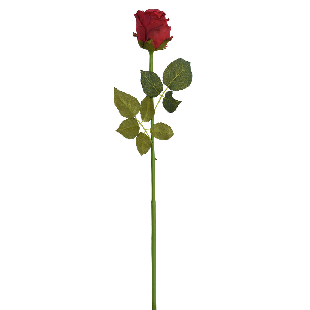 Single red rose stem from Decorflowers.co.nz