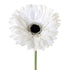 Gerbera White from Decorflowers.co.nz