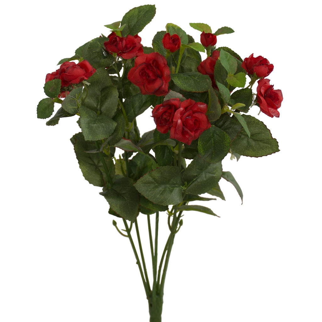 Small red rose bush from Decorflowers.co.nz