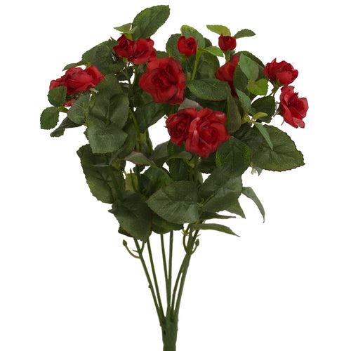 Small red rose bush from Decorflowers.co.nz