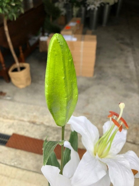 I-phone image of an artificial lily from Decorflowers.co.nz