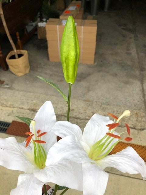I-phone image of an artificial lily from Decorflowers.co.nz
