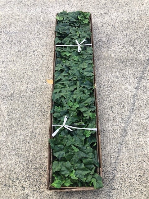 Wholesale artificial Ivy from Decorflowers.co.nz