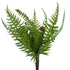 New Zealand Fern Bush from Decorflowers.co.nz